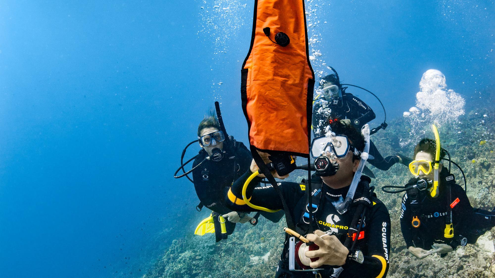 The 4 important uses of a DSMB every time you dive
