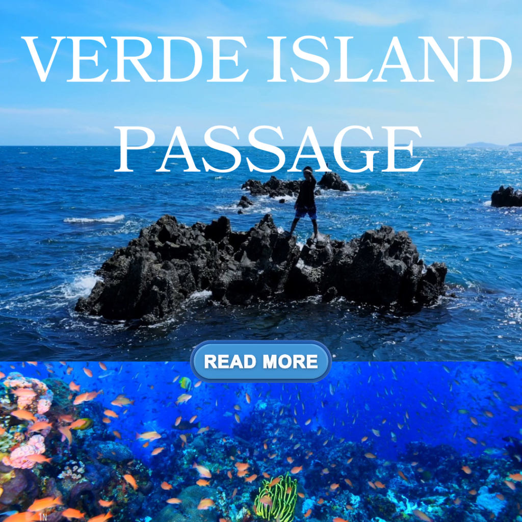 verde island passage scuba dive