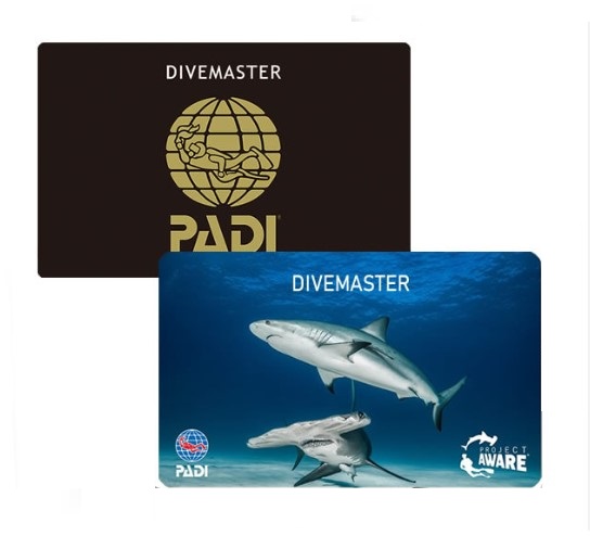 Divemaster Course with Internship Program USD 1885