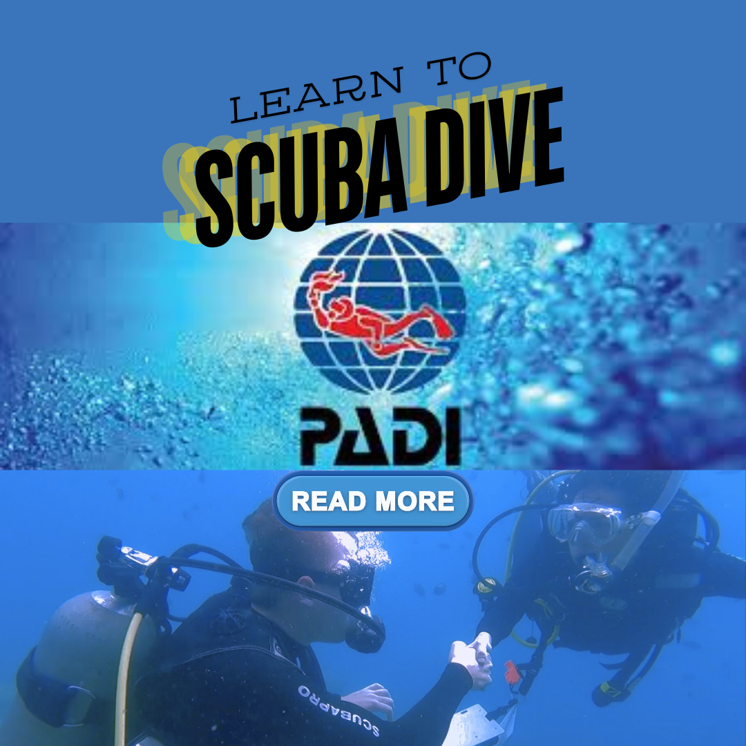 learn to scuba dive from makati