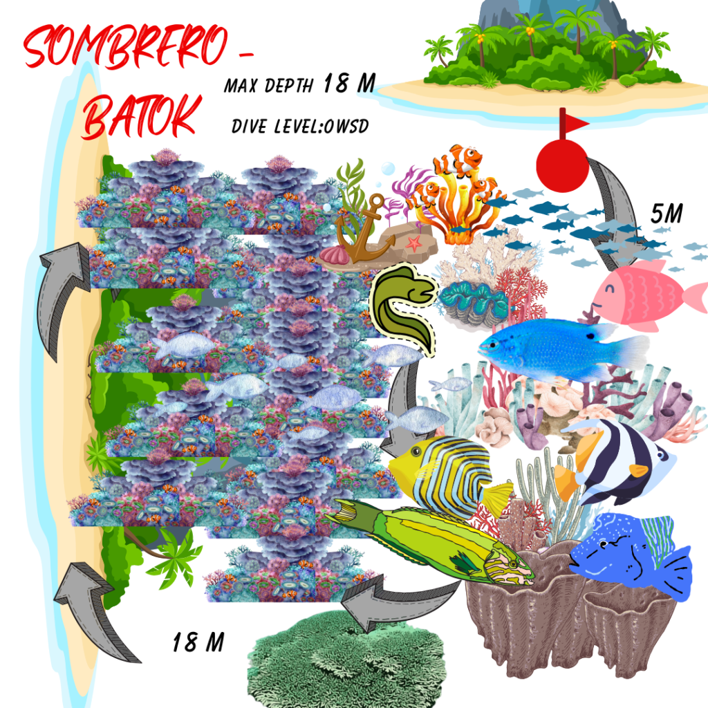 dive map batok dive site anilao philippines