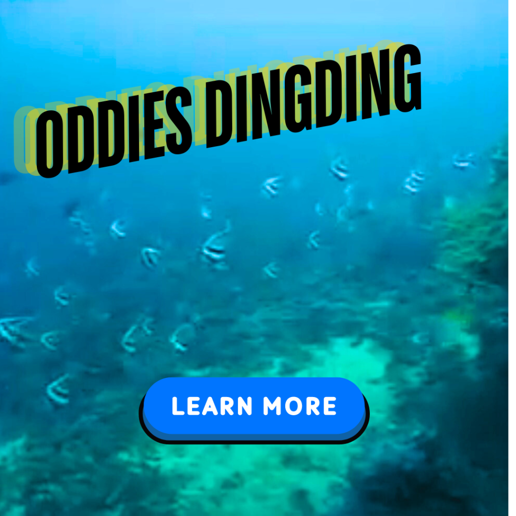 oddies dingding puerto galera dive site