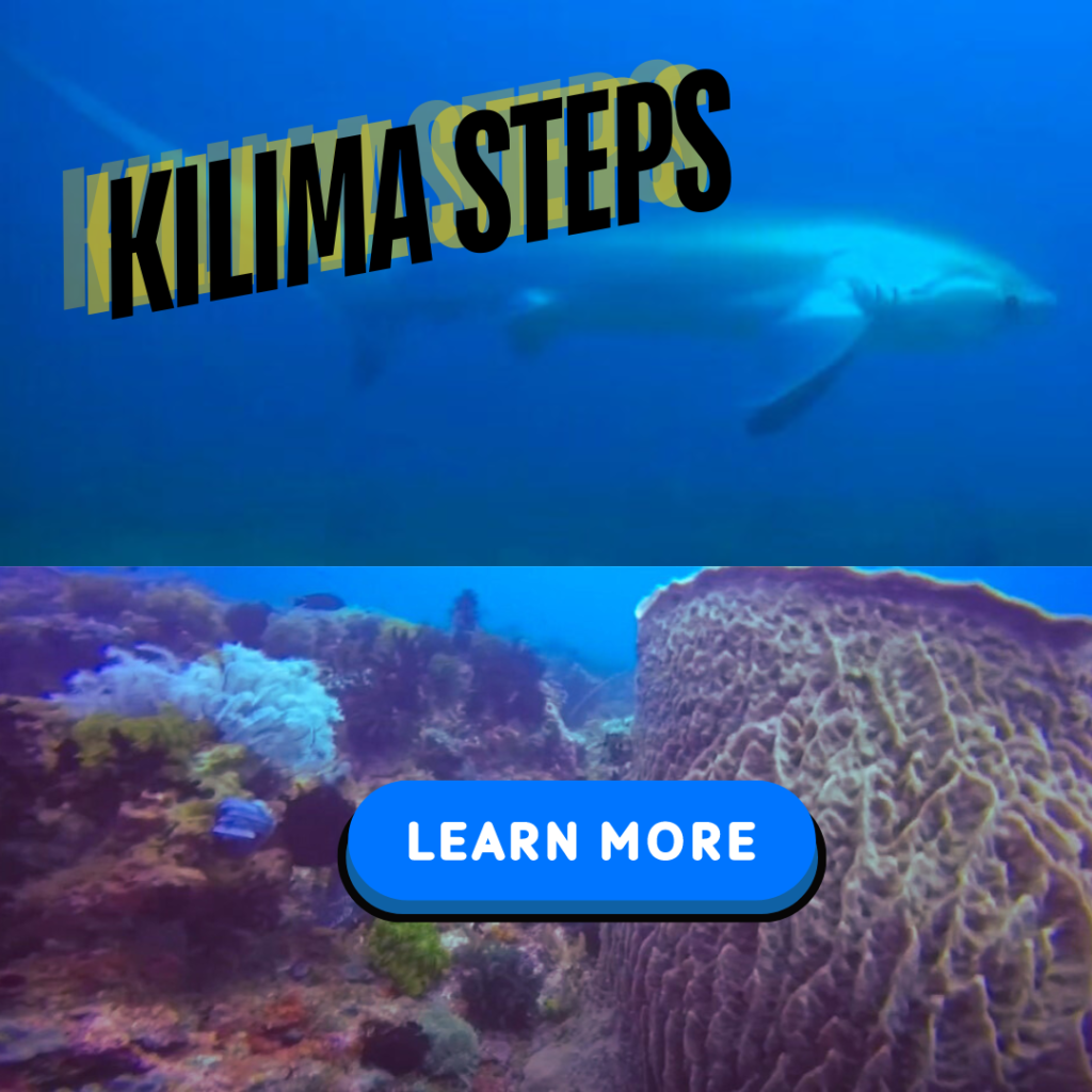 puerto galera dive site kilima-steps