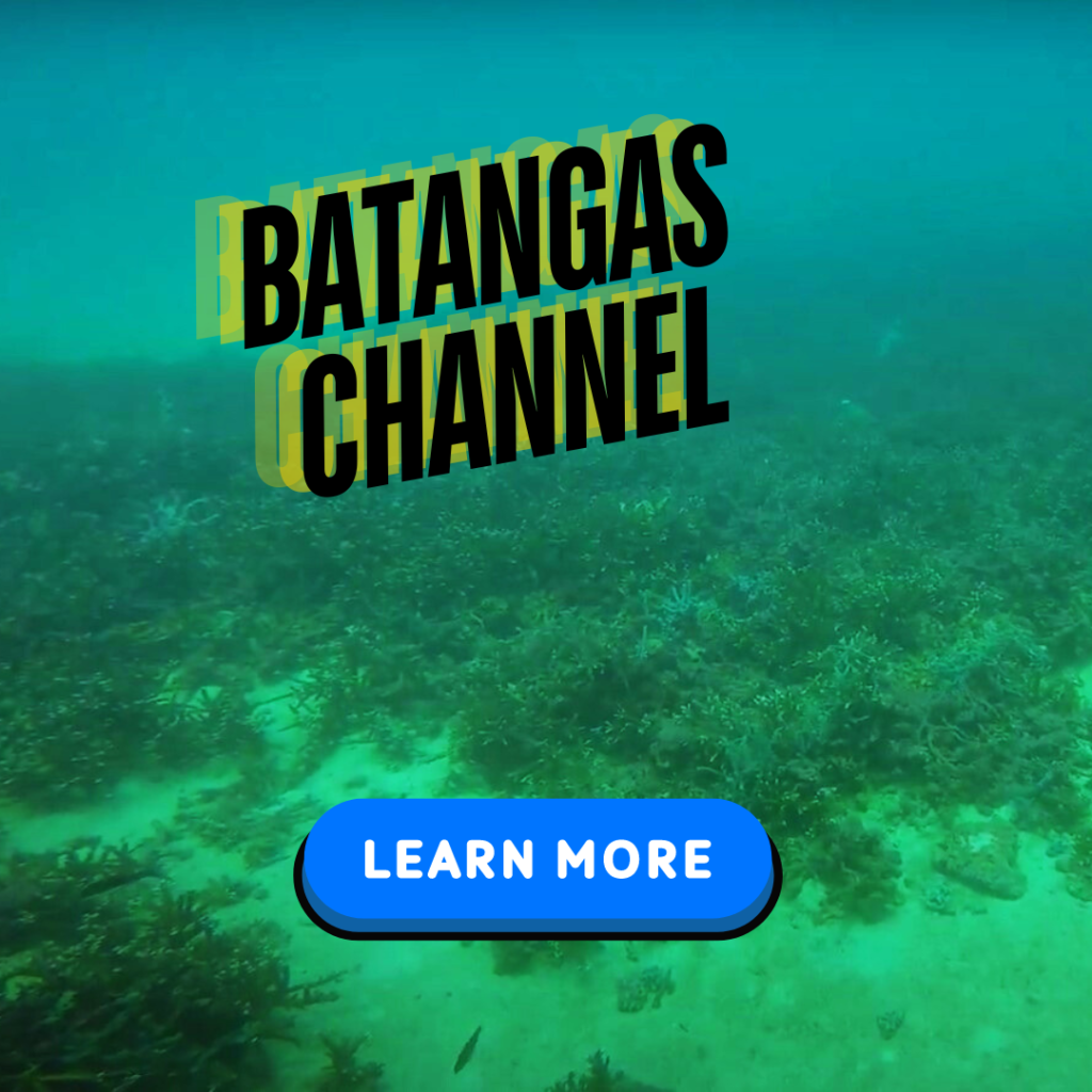 batangas channel puerto galera dive site