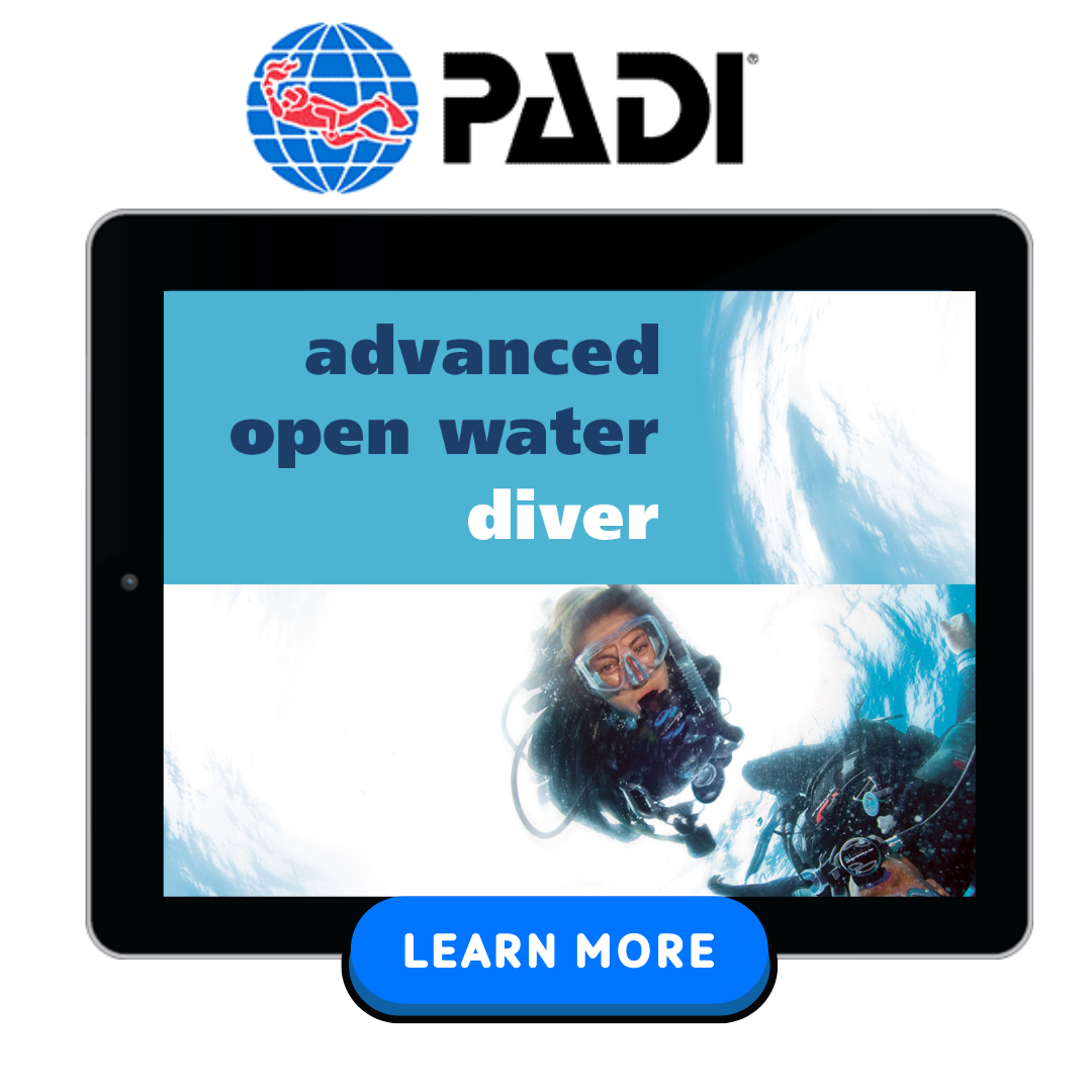 PADI Advanced Open Water Diver course in the Beautiful Philippines