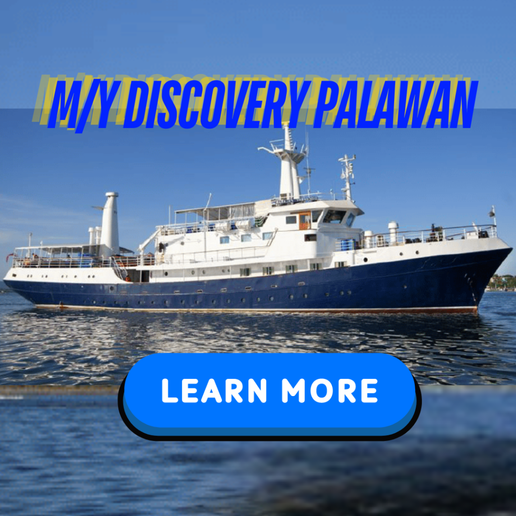 philippine liveaboard