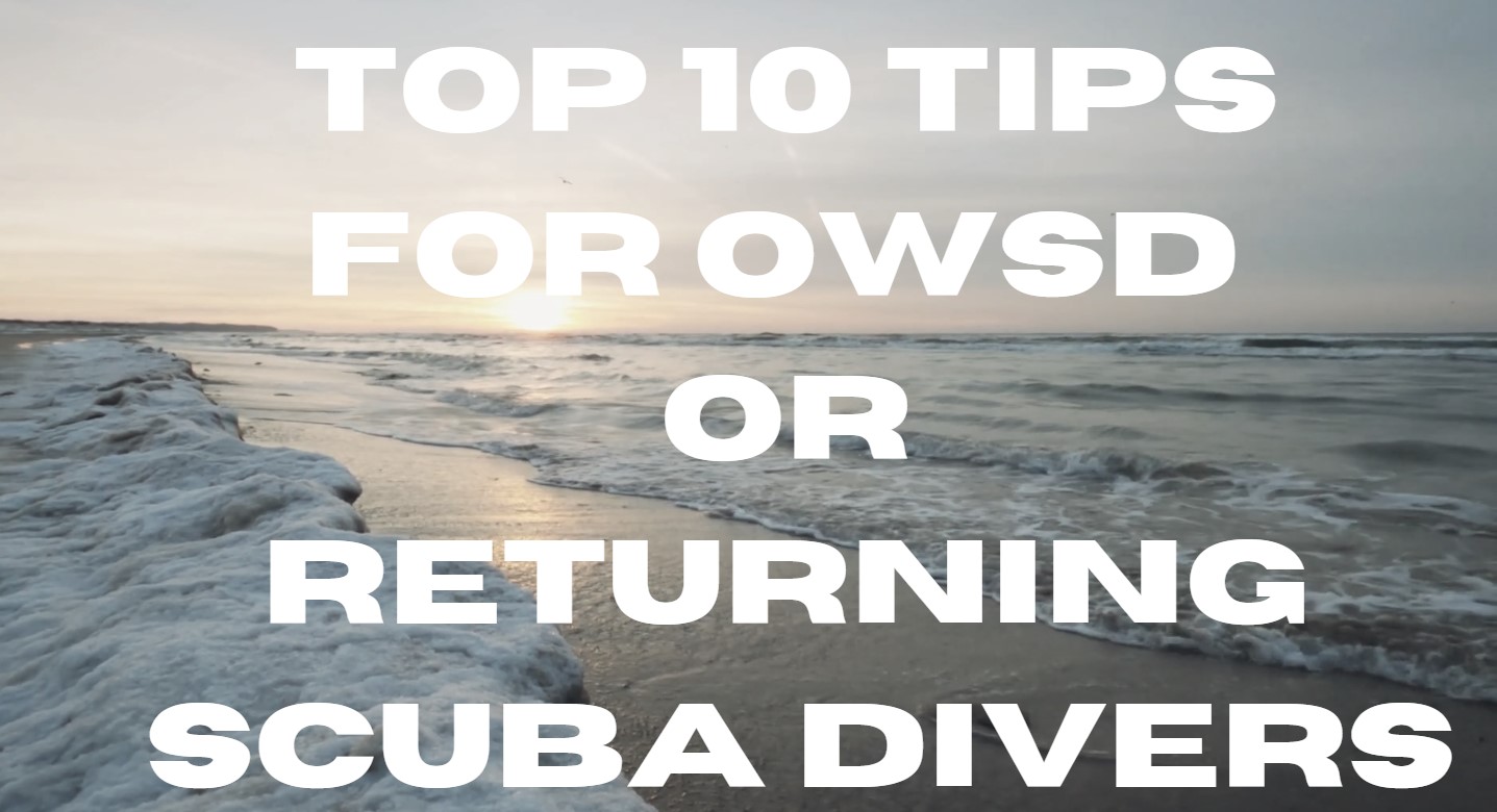 Avoid These 10 Common New Diver Mistakes