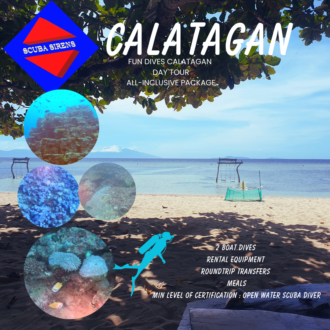 Scuba dive Calatagan in the beautiful Philippines