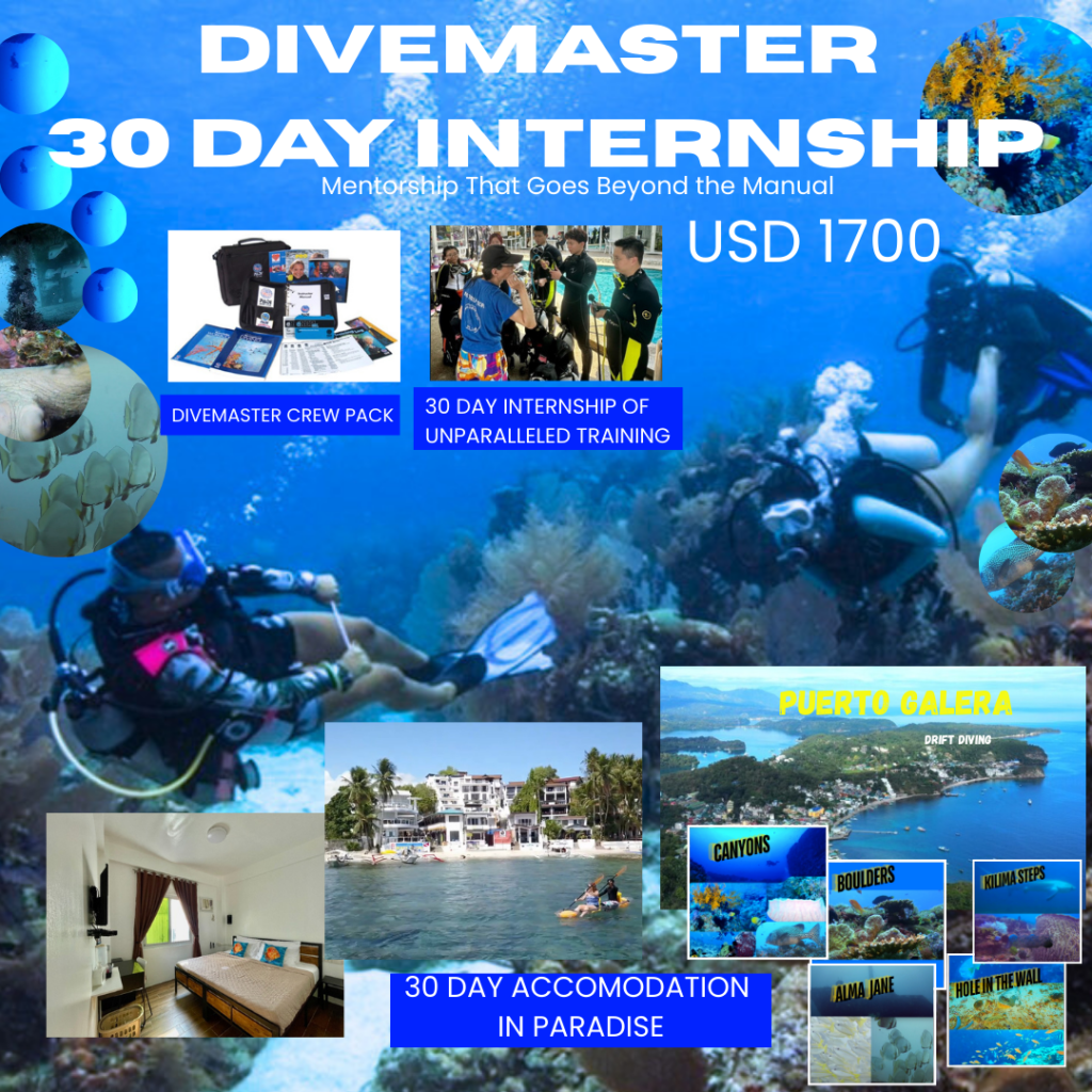 Divemaster internship in the beautiful Puerto Galera