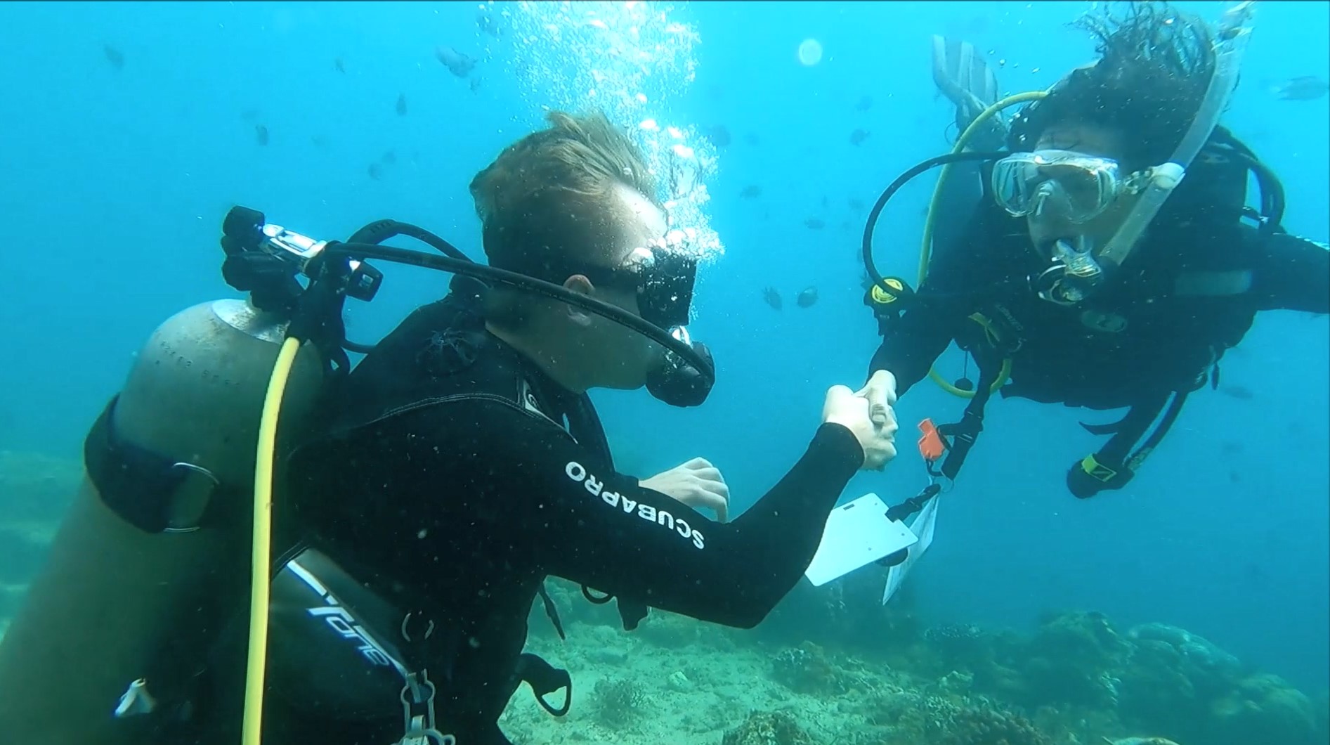 the Most Popular Google Searches related to Scuba certification