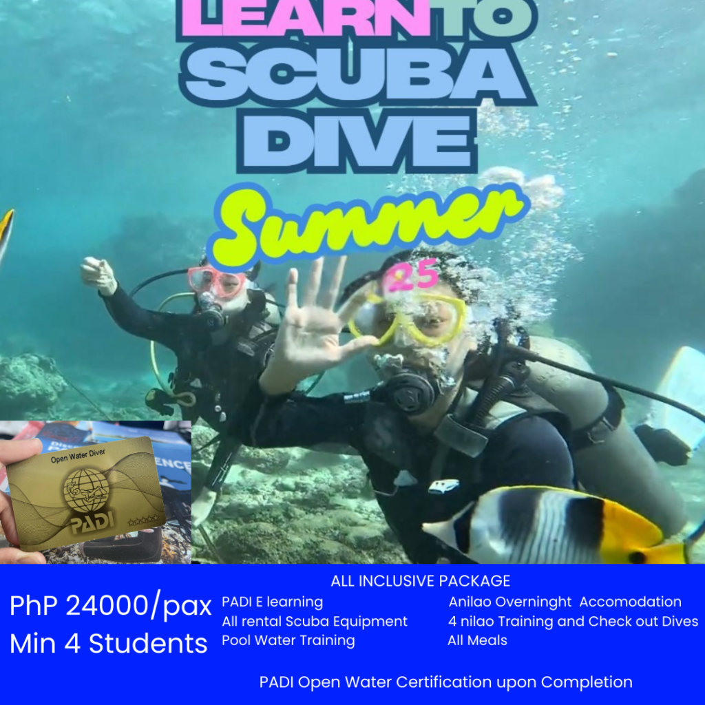 learn to scuba dive from makati, philippines