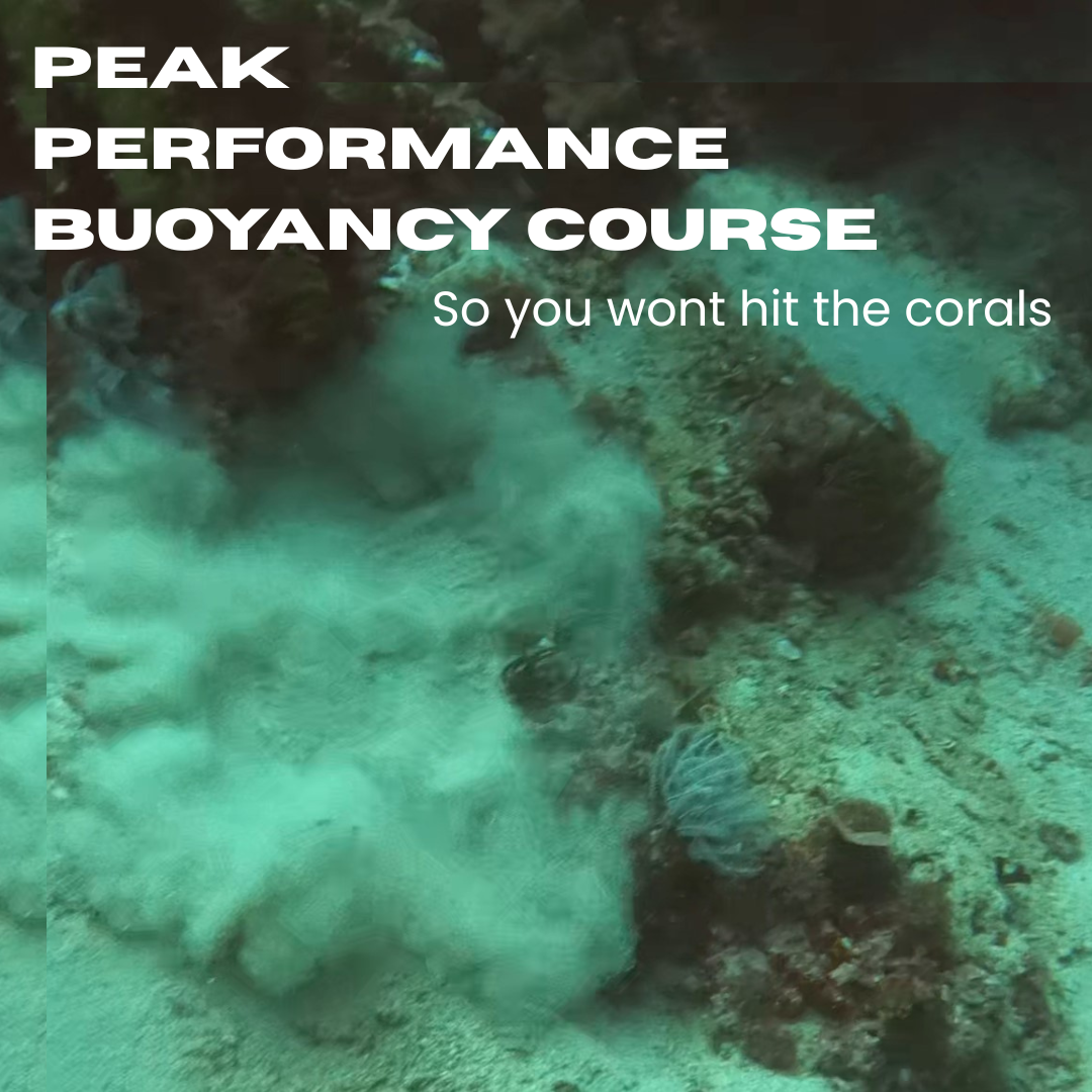 Peak Performance Bouyancy course