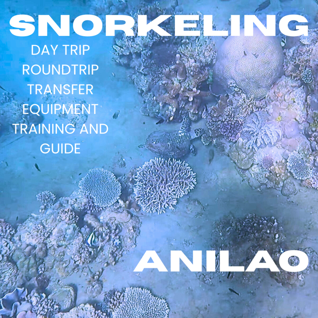 Snorkeling from Makati City