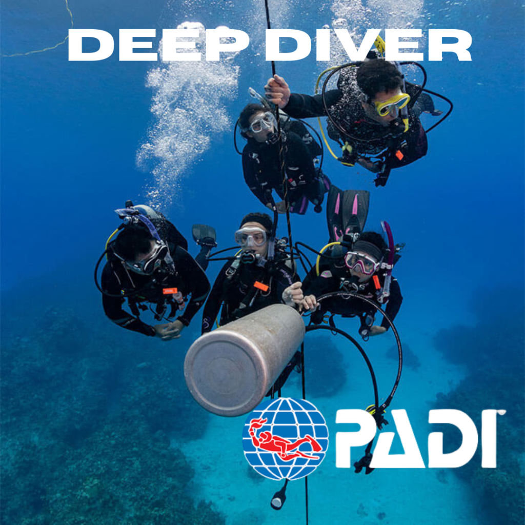the Deep Diver course