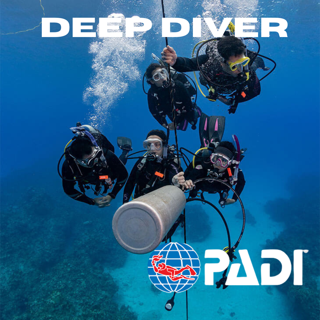 the Deep Diver course