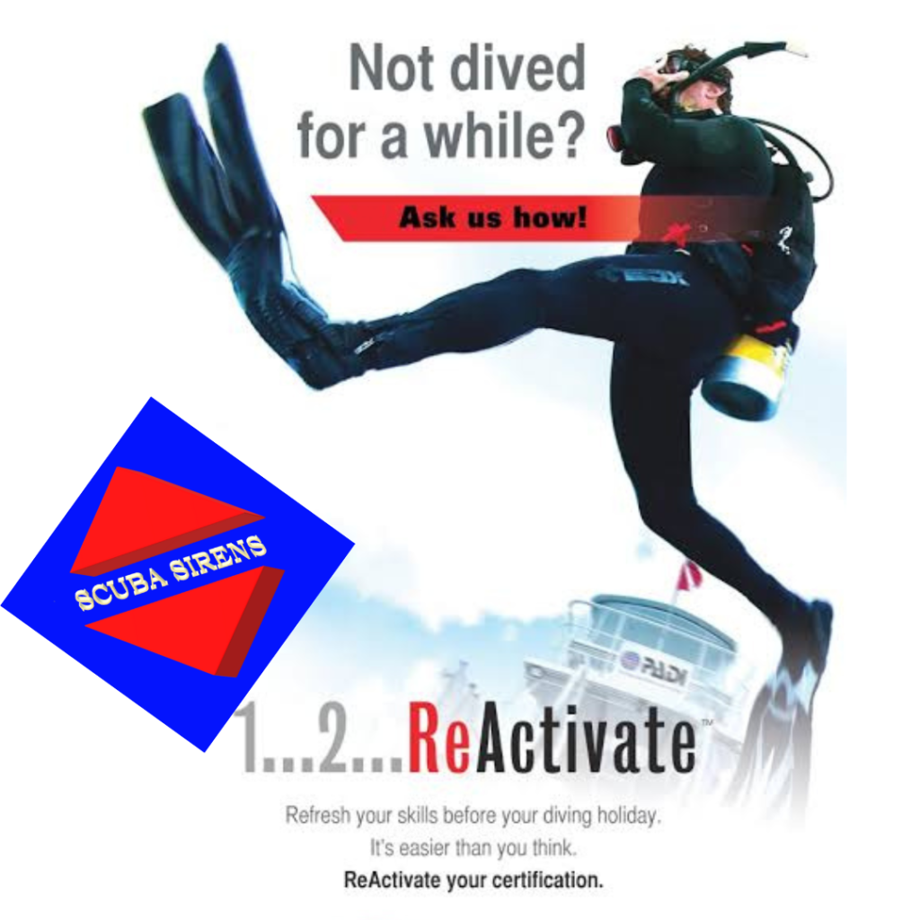 reactivate scuba diving anilao philippines