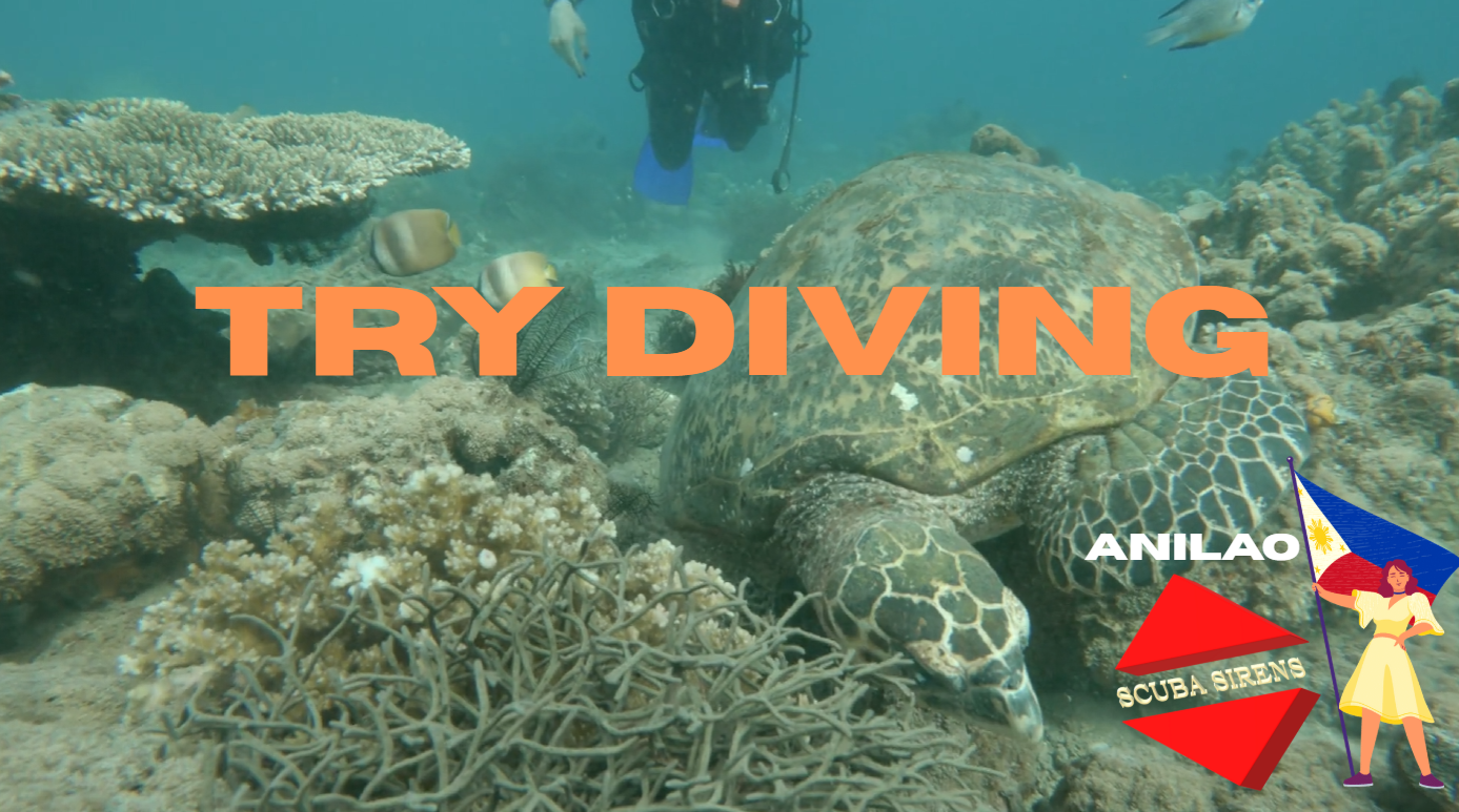 Try Diving to know