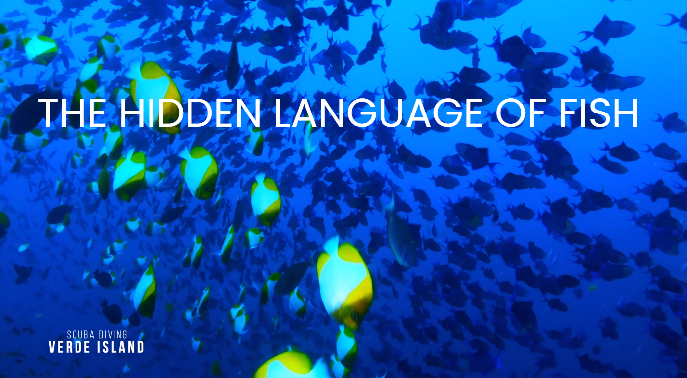 language of fish
