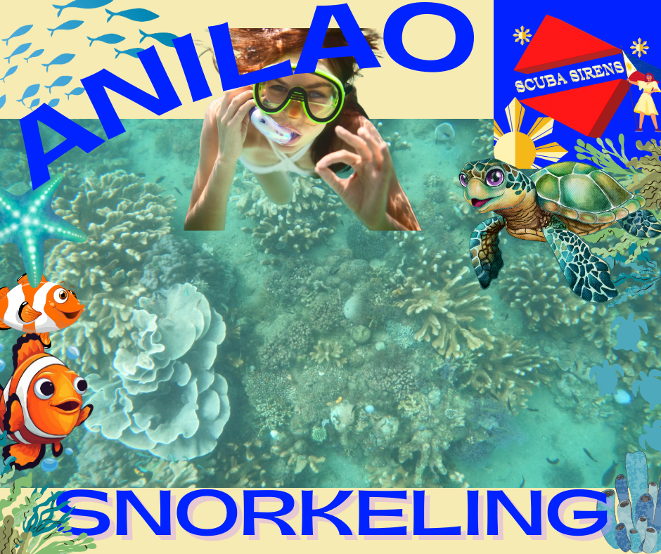 Snorkeling anilao